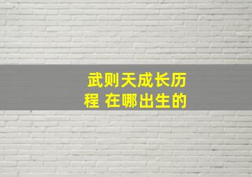 武则天成长历程 在哪出生的